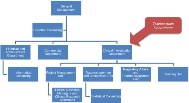 Figure 2 - Datamedica Organizational Chart - The areas in red represent the department units at  which the trainee performed the internship activities (Adapted from ref