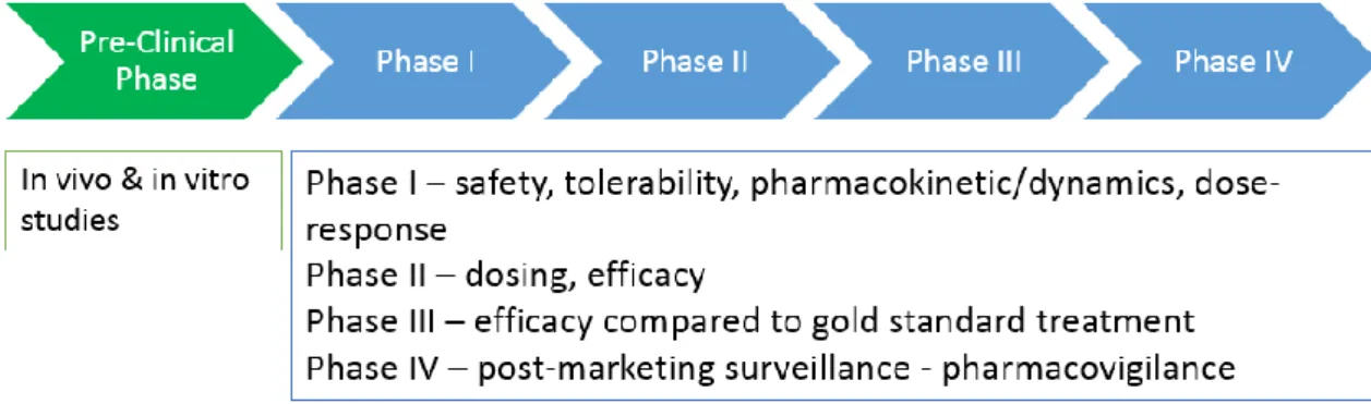 Figure 2 resumes very briefly what has been explained above. 