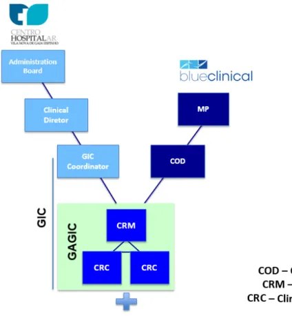Figure 10 – GIC organizational structure. Adapted from Blueclinical and CHVNG/E collaboration  agreement (38)