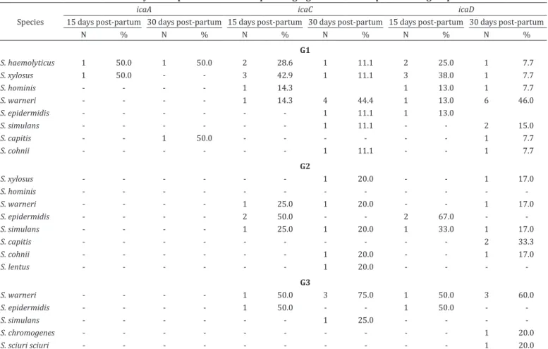 Table 7. Distribution of the genes ica A,  icaC and icaD in species of coagulase-negative Staphylococcus  identified  15 and 30 days after parturition in sheep belonging to the three experimental groups