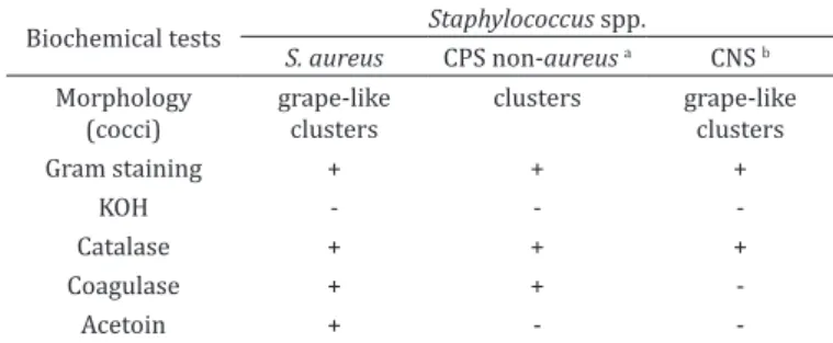 Table 2. Summary of steps used for identification of bacteria of the genus  Streptococcus  and  Enterococcus