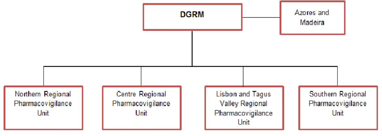 Figure 2 – Part of the NPS: relation between the DGRM and the RPUs 2
