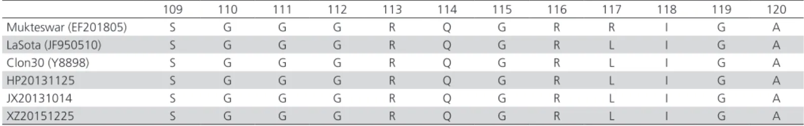 Figure 2 - The RT-PCR amplification results of the F gene of NDV. (M: Marker; 1: 