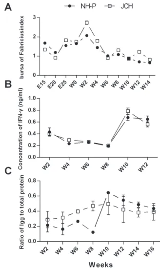 Figure 1 – Phenotypic divergence of bursa of Fabricius (BF) between JCH and NH-P  ducks