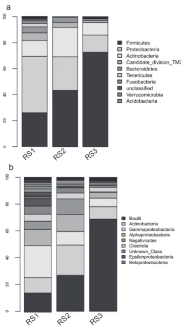 Table 1 – Estimators of diversity during overfeeding (OF) in  the ileum and ceca of Landes geese