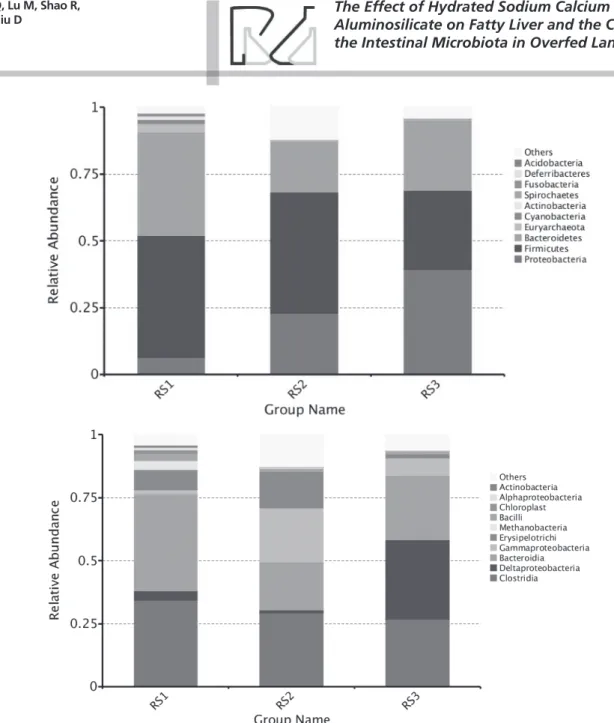 Figure 3 Percentage contribution of sequences at the phylum (a) and class (b) levels to the total number of sequences in  cecum during overfeeding (OF), with or without HSCAS treatment