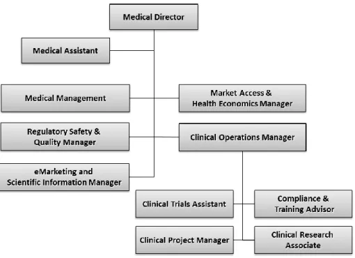 Figure 6 - Organogram of Roche Medical Direction department (adapted from an internal Roche’s presentation, 2011) 
