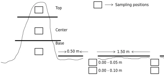 Figure 1. Sampled sections of a termite mound (top, center, and base) and the adjacent soil at  two distances and depths.