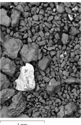 Figure 5. Scanning Electron Microscopy images of sand particles from sample 4 (area 1).
