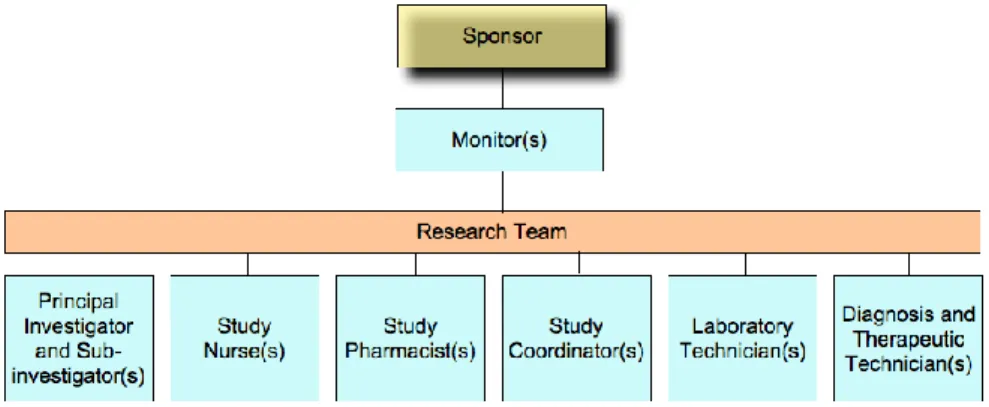 Figure  1.  Schematic  representation  of  the  relations  established  between  sponsor,  monitor  and  research  team