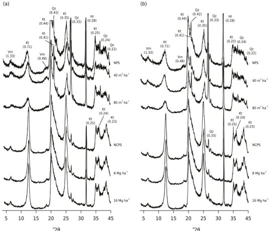 Figure 2.  Clay fraction X-ray diffractograms of samples treated with DCB of a Typic Rhodudalf  (NPS, 40 m 3  ha -1  and 80 m 3  ha -1 ) and of a Typic Hapludox (NCPS, 8 Mg ha -1  and 16 Mg ha -1 ), from  the 0.00-0.04 m layer (a) and 0.04-0.08 m (b)