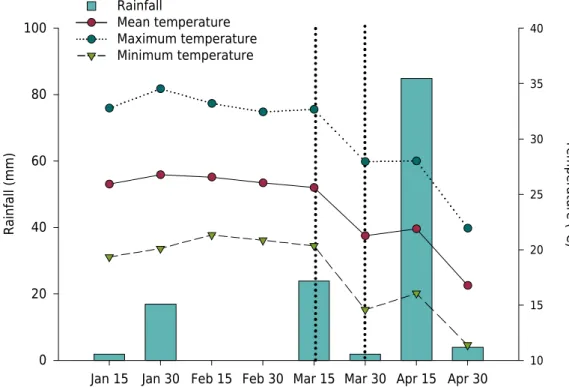 Figure 1.  Accumulated rainfall and the mean, maximum, and minimum air temperature in 15-day  intervals throughout the months of the study in São Gabriel, RS, Brazil