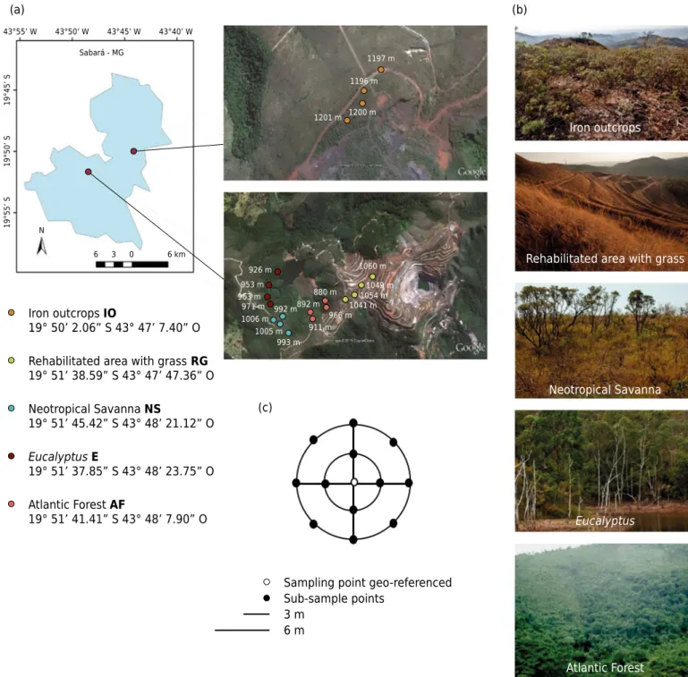 Figure 1. Geographical location of studied areas, environments, and sampling strategy