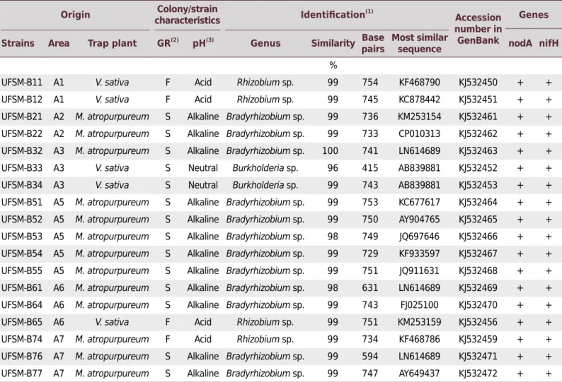 Table 4. Origin, characteristics, and identification of bacterial isolated strains obtained from nodules of  Macroptilium atropurpureum  and Vicia sativa cultivated in the coal-mining region of Candiota, RS-Brazil
