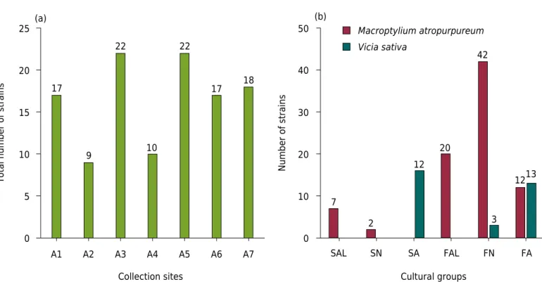 Figure 2.  Number of pH tolerant bacterial isolates from each representative area.