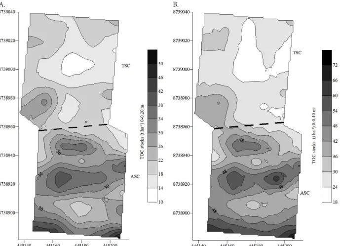 Figure 3. Spatial distribution for total organic carbon (TOC) stocks in the soil at depths of 0-0.20 m (A) and 0-0.40 m (B),  with sisal grown in the traditional system (TSC) and alternative system (ASC) 
