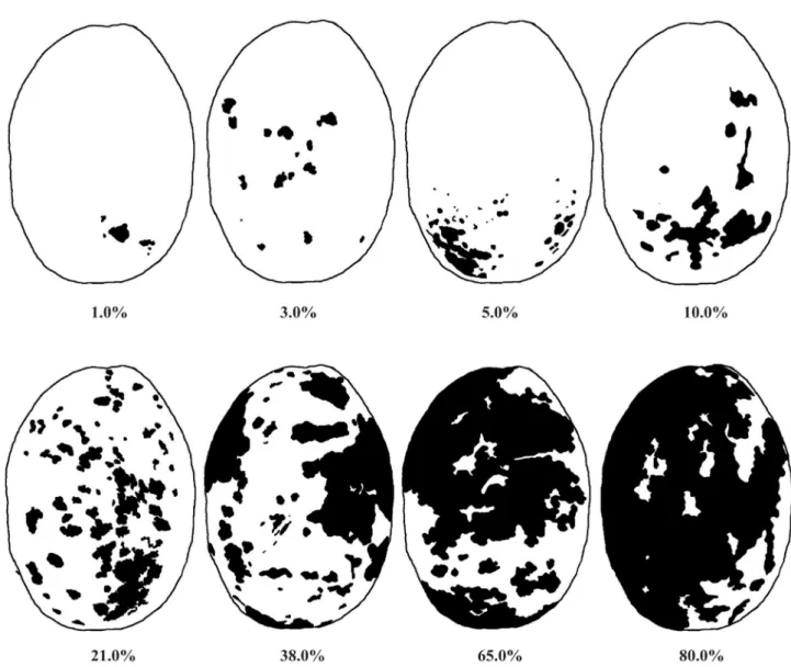 Figure 1. Standard area diagram set (SADs) for bacterial spot severity (%) assessment in fruits of yellow passion fruit  ( Passiflora edulis  Sims)