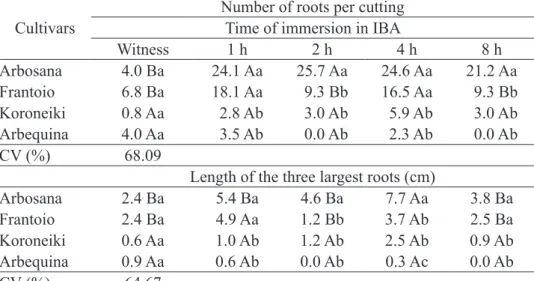 Table 3 – Number of roots and average of the  three largest roots in the cuttings of four olive tree cultivars  submitted to different times of base immersion in 300 mg L -1  of IBA
