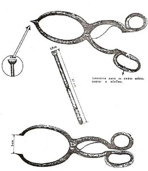 Figure 2 – Endocarp remover may help to pull out mango cotyledon free of injury from inside the endocarp.