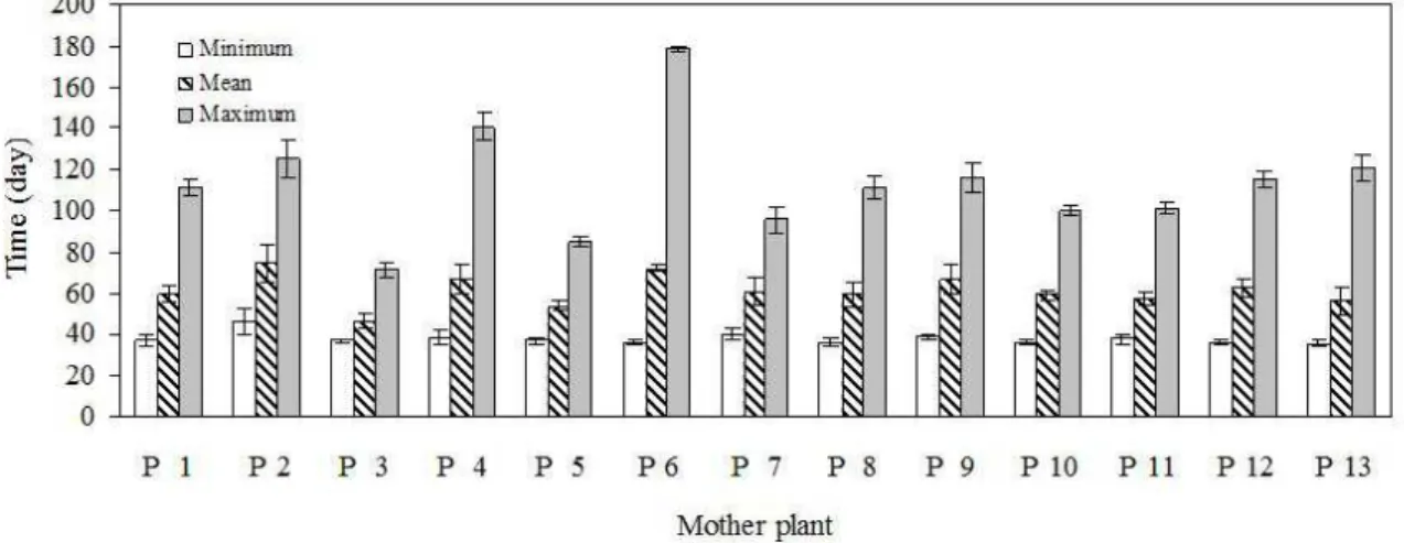 Figure 9 -Minimum, mean and maximum times required for the regeneration of bacuri plants (Platonia insignis  Mart.) from the primary root of seeds from different mother plants