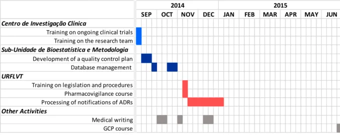 Figure 7. Timeline of the main activities developed in the generic training. 