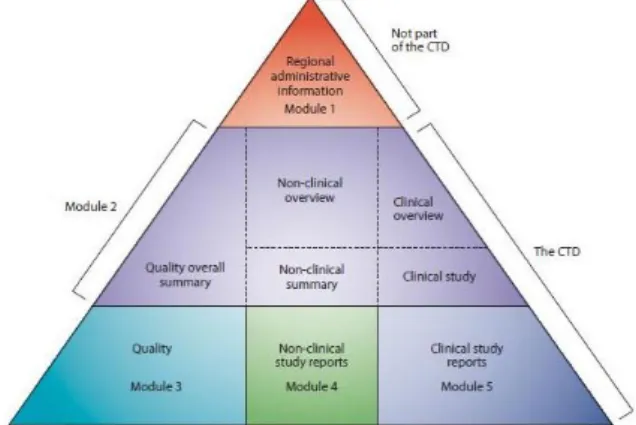Figure 4: CTD structure - Triangle (Source: ICH M4R3)(20) 