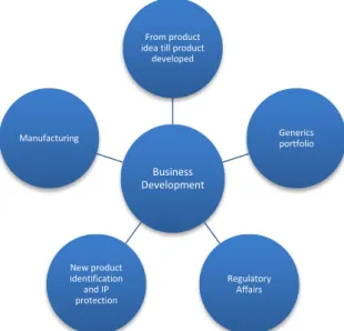 Figure 5: Bluepharma´s business model (Source: Bluepharma) 