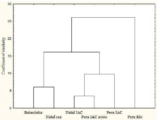 Figure 2. Dendrogram showing the general Euclidean distance among orange cultivars in relation to chemical characteristics  and total antioxidant activity, from the experimental orchard of the Agency for Technical Assistance and Agricultural Research  of G