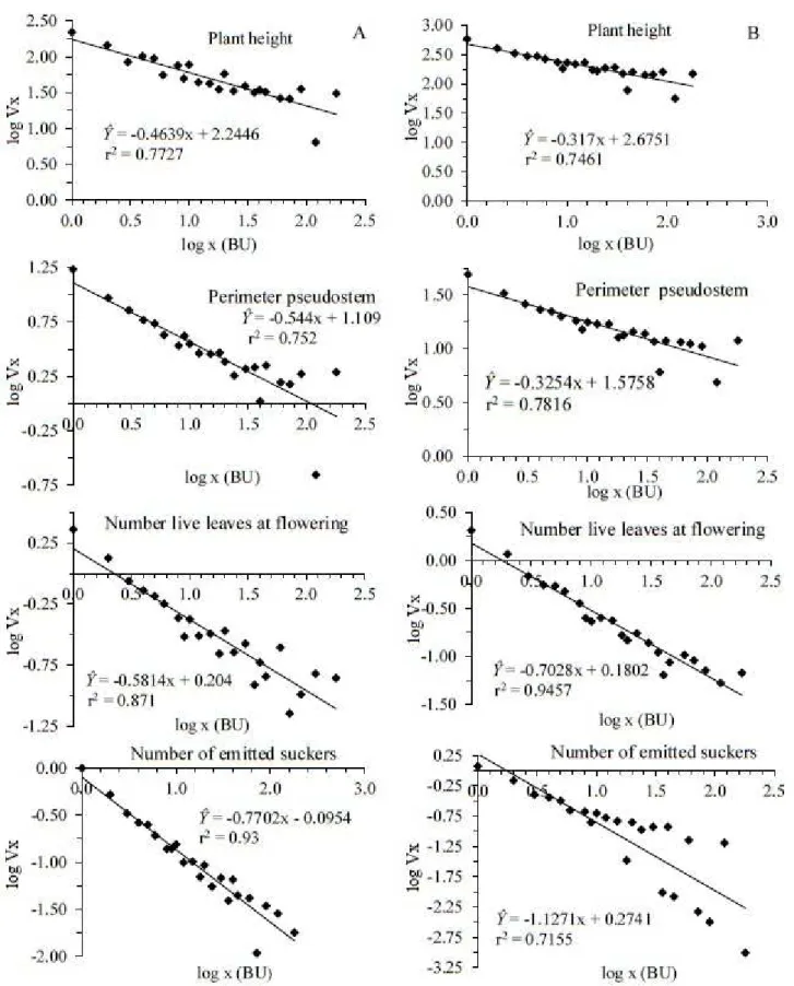 Figure 1 .Regression equations between logarithm of variance and logarithm of plot size in basic units, for vegetative  characteristics evaluated in the first (A) and second (B) production cycle in banana cv