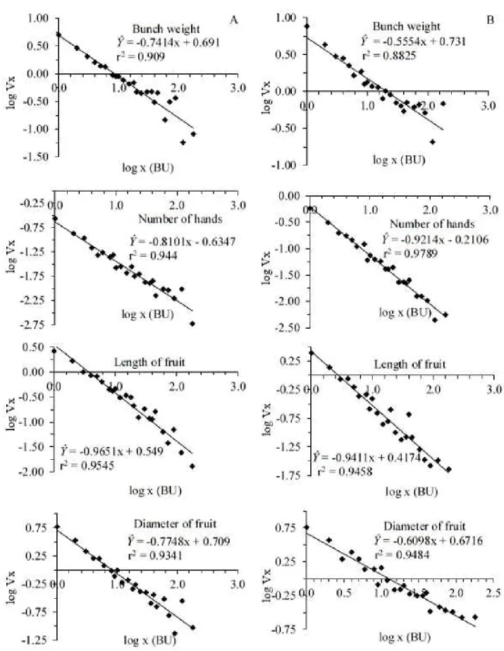 Figure 2.  Regression equations between logarithm of variance and logarithm of plot size in basic units, for yield  characteristics evaluated in the first (A) and second (B) production cycle in banana cv
