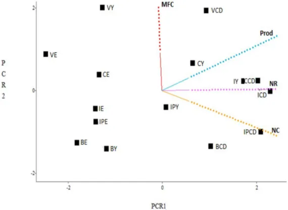 Figure 1. Principal component analysis with variables: bunch fresh weight (MFC), productivity (Prod), number of  branches (NR) and number of bunches (NC) of five grape cultivars for juice and wine on three training systems