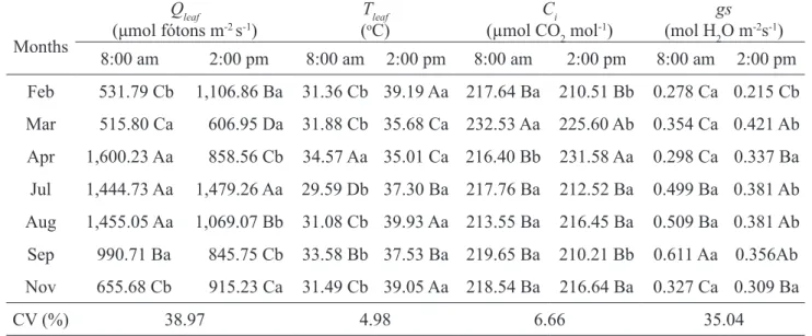 Table 2 - Photosynthetically active radiation on leaf surface (Q leaf ), foliar temperature (T leaf ), internal concentration of  CO 2  (Ci), and stomatal conductance (g s ), evaluated in the third leaf of Maçã banana type, between flowering of first  and 