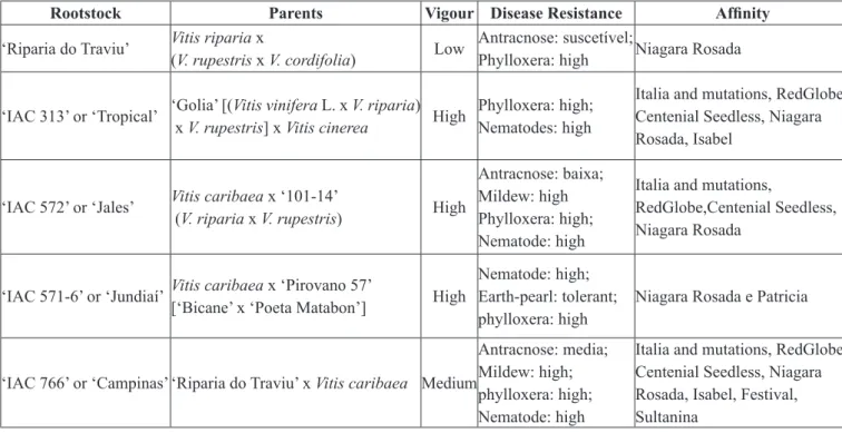 Table 1. Description of rootstocks according to Hernandes and Martins (2010).