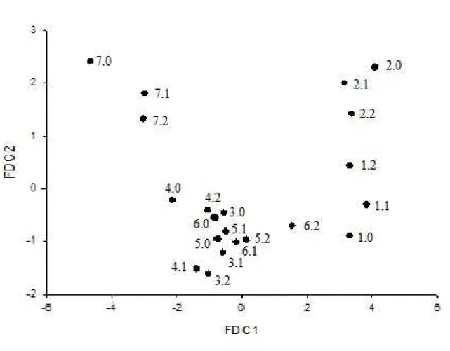 Figure 1  -  Multivariate  dispersion  of  the  21  physalis  populations  coordinated  by  the  first  and  second  canonical  discriminant linear function, capturing 85% of the accumulated variance in the eigenvalues