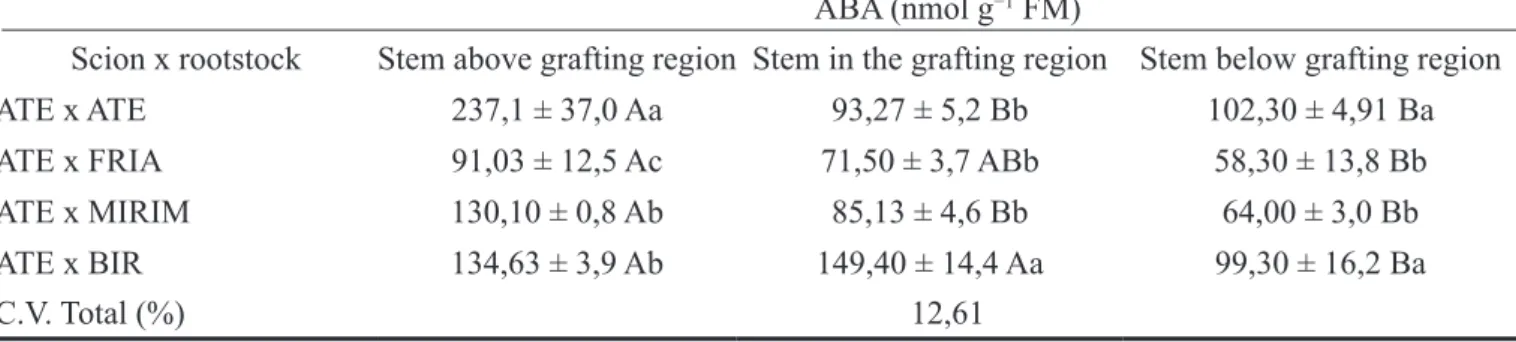 Table 2. Concentration of abscisic acid (ABA) expressed in nmol per gram of fresh mass (nmol g −1  FM) in the stem  above grafting region, stem below grafting region and stem in the grafting region of self-grafted atemoya (ATE x ATE),  atemoya grafted onto