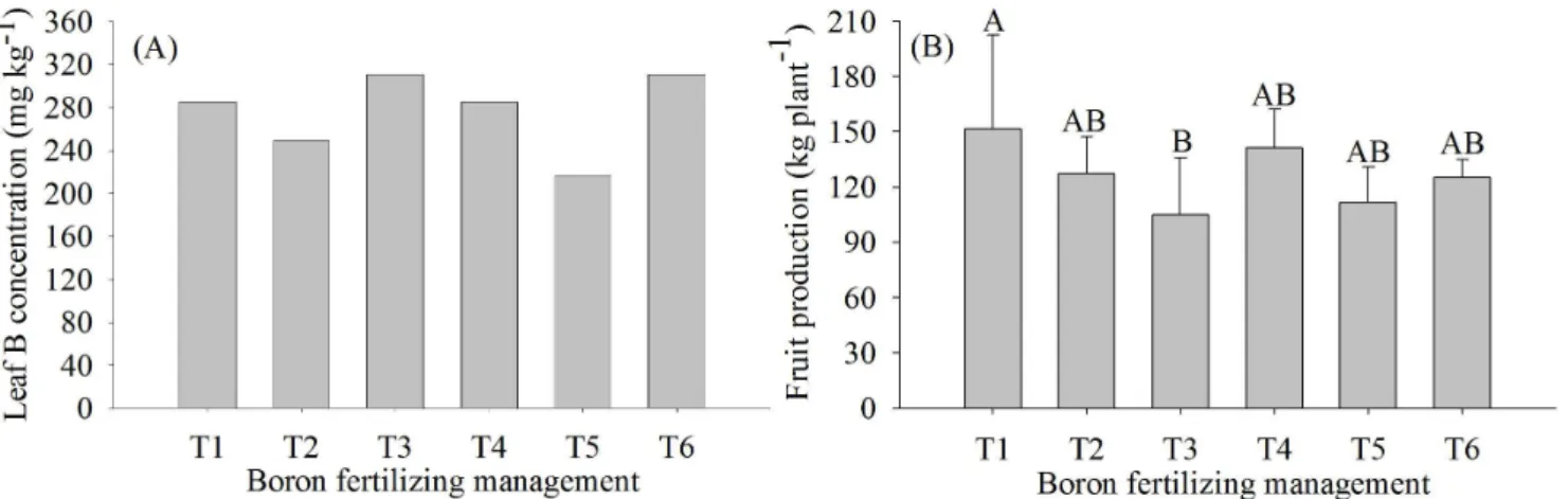 Figure 1. Boron leaf concentration (A) and fruit production (B) of mango cv. Palmer as a function of boron fertilizing  management.