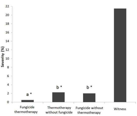 Figure 2.  Anthracnose severity in ‘Prata Anã’ banana submitted to hydrothermal treatment (52°C/8’), chemical  treatment (imazalil 2 mL L -1 ) and association of both, after fifteen days of storage, expressed as percentage of injured  area / fruit