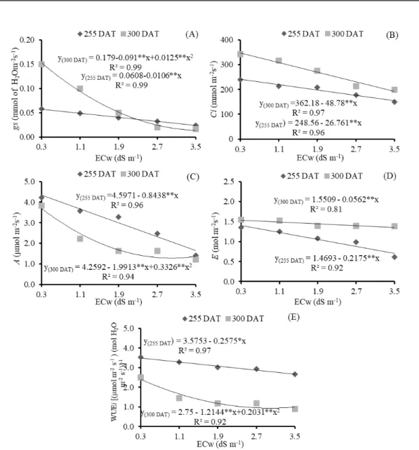 Figure  2.  Stomatal  conductance  - gs  (A),  internal  CO 2   concentration  - Ci  (B),  CO 2   assimilation  rate  - A  (C),                   transpiration - E (D) and instantaneous water use efficiency - WUEi (E), at 255 and 300 days after transplanti