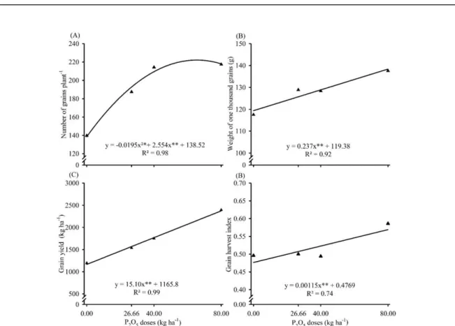 Figure 4. Number of grains per plant (A), weight of one thousand grains (B), grain yield (C) and grain harvest index (D) of  soybean in function of phosphorus doses (P 2 O 5 ) in Oxisol with low initial phosphate, in Cerrado regions of Piauí