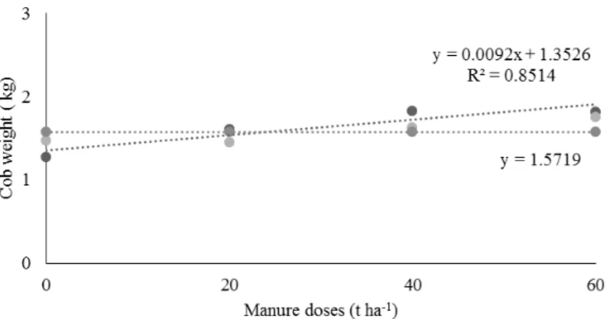 Figure 2. Cob weight per plant according to the doses of cattle manure associated with green manure, Macassar and Pigeon  pea beans.