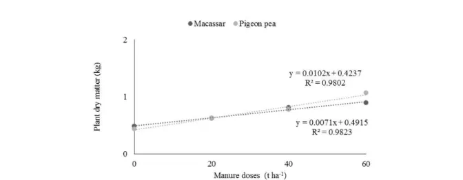 Figure 3. Maize dry matter in the function of cattle manure doses associated with green manure, Macassar and Pigeon pea  beans.
