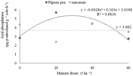 Figure 5. Acid phosphatase in soil cultivated with maize as a function of the doses of cattle manure associated with green  manuring, Macassar and Pigeon pea beans.