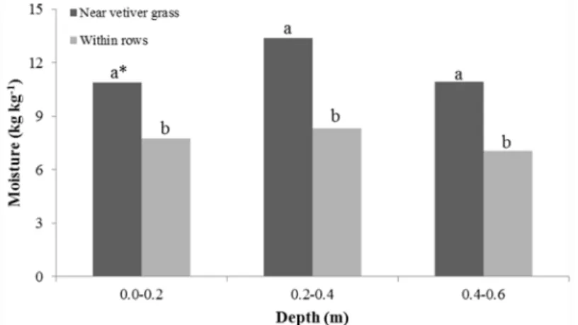 Figure  2. Soil moisture for the Neossolo Flúvico of the riverbank of the Lower São Francisco River at different depths,  measured  near  the  plants  and  within  rows