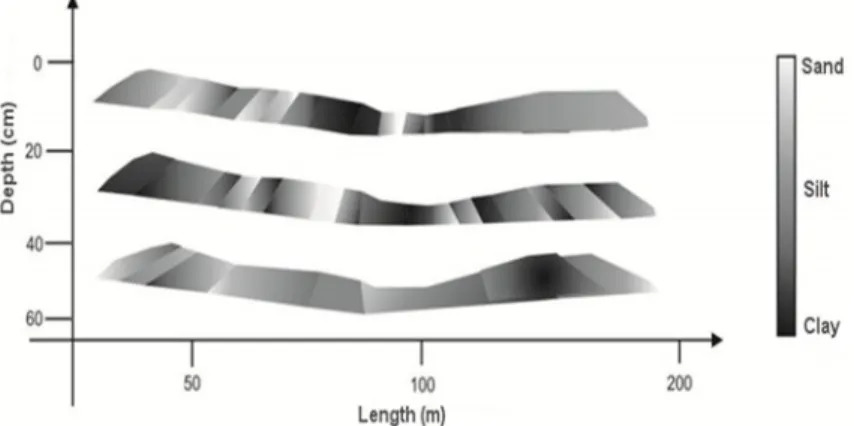 Figure  3. Schematic representation of texture in the experimental area at three depths (0 - 20, 20 - 40 and 40 - 60cm) of the  Fluvic Neossol.
