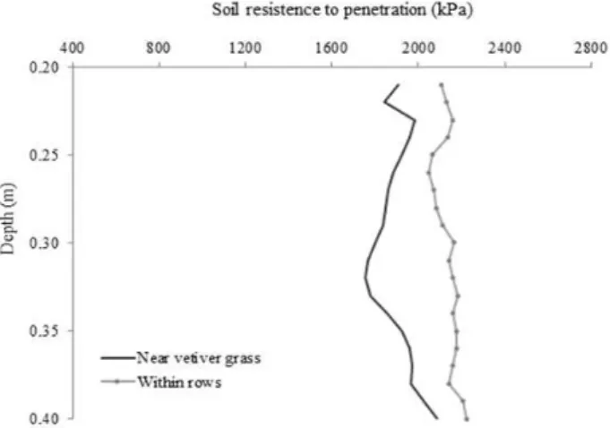 Figure 6. Mechanical resistance of the Neossolo Flúvico to penetration at a depth of 0.20–0.40 m, at points near to vetiver  grass plant and at points within rows