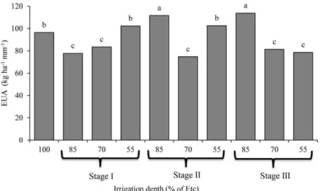 Figure 3. Water use efficiency of sugarcane plants subjected to different water depths in three development stages (Stage I,  Stage II, and Stage III), and no water stress (100% of ETc), in two crop cycles