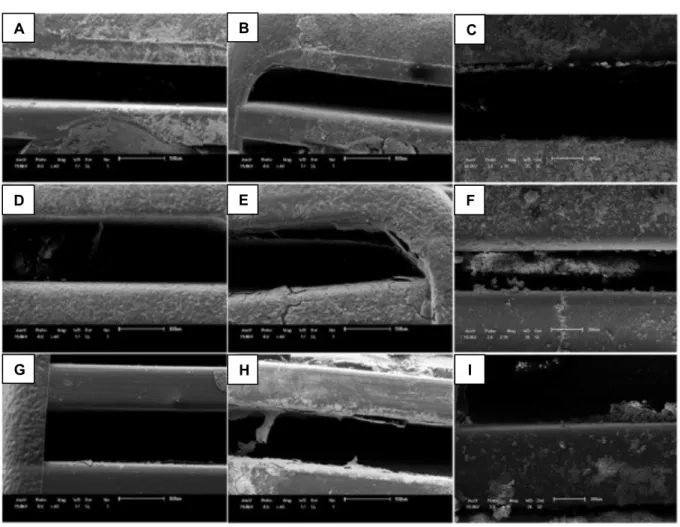 Figure  5.  Scanning  electron  microscopy  (SEM)  images  of  the  material  adhered  to  the  path  walls  of  the  dripper  tubes  Streamline (A, B, and C), Taldrip (D, E, and F), and Tiran (G, H, and I) operated with water supply (A, D, and G – 40x),  
