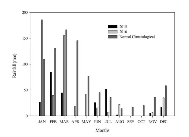 Figure  1. Rainfall (mm) over the experimental period (2015 and 2016) and climatological normal of the municipality of  Serra  Talhada - PE,  Brazil