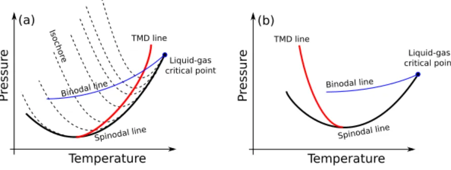 FIG. 1. (a) The re-entrant liquid-gas spinodal scenario.