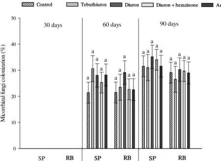 Figure  4. Mycorrhizal fungi colonization of the rhizospheric soil of two sugarcane cultivars at 30, 60 and 90 days after Mycorrhizal fungi did not colonize sugarcane 